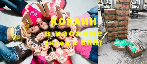 эйфоретик Аркадак