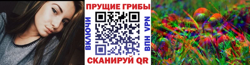 Псилоцибиновые грибы GOLDEN TEACHER  Полевской 