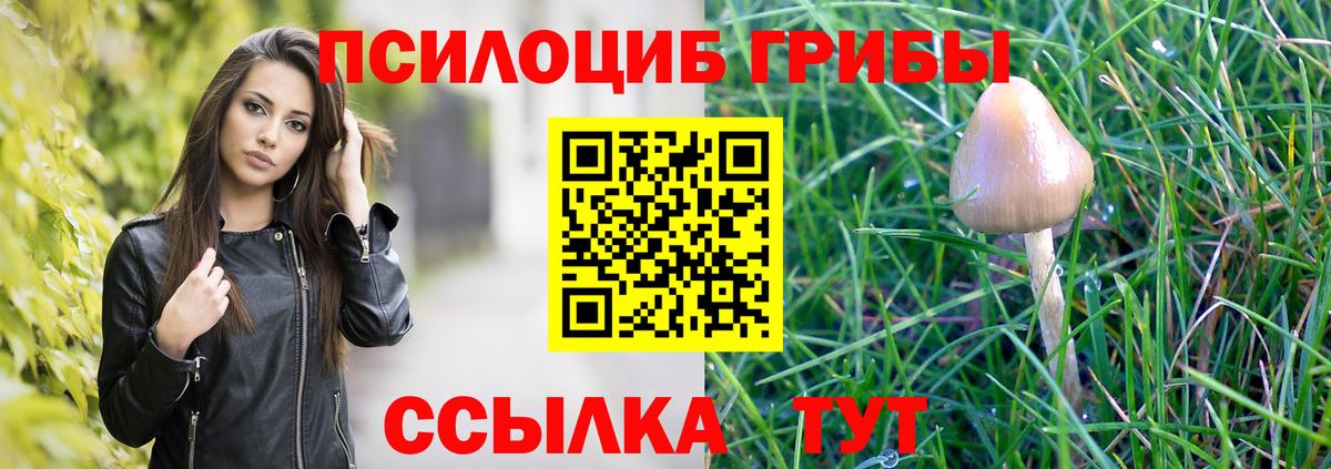 Полевской  Псилоцибиновые грибы ЛСД  Галлюциногенные грибы ЛСД  Вход с VPN 